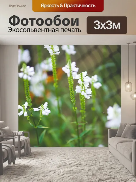 Фотообои Цветок