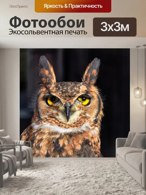 Фотообои Птица