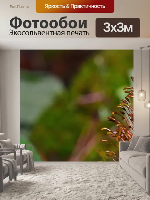Фотообои Природа