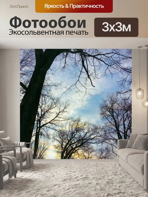 Фотообои Деревья Вверх