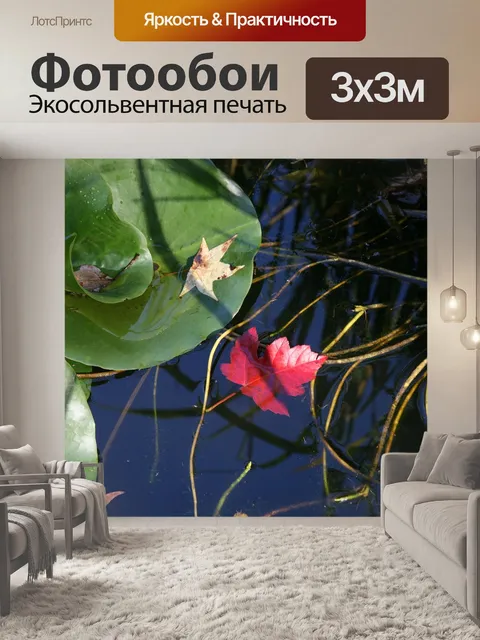 Фотообои Пруд