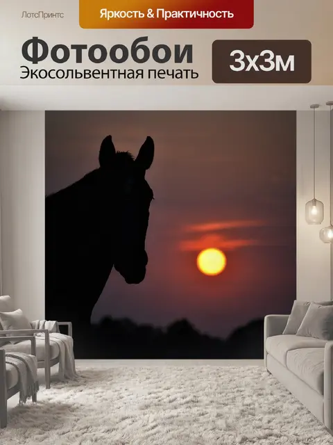 Фотообои Заход солнца