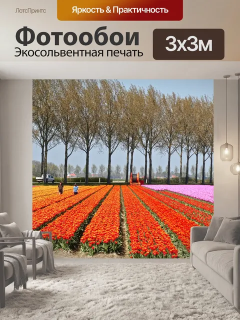 Фотообои Тюльпаны
