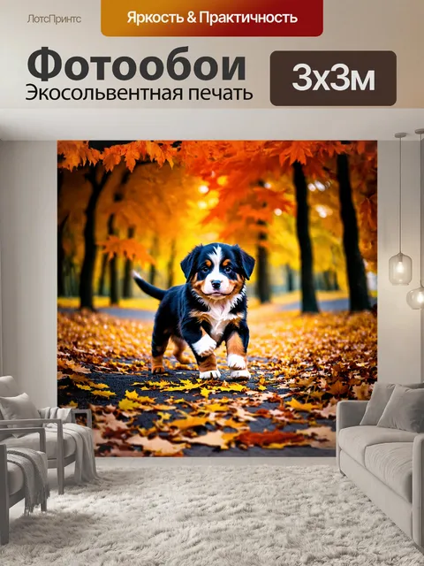 Фотообои щенок бернского зенненхунда, играющий на фоне осеннего леса, выглядит не только мило, но и полон энергии