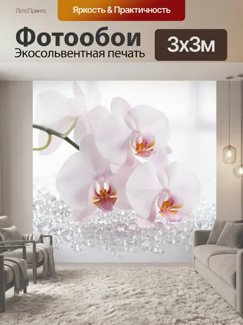 Фотообои Нежные орхидеи на каплях воды