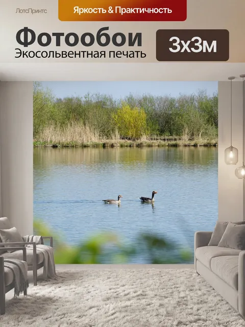 Фотообои Птицы