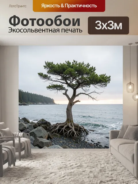 Фотообои Сосна у морского берега