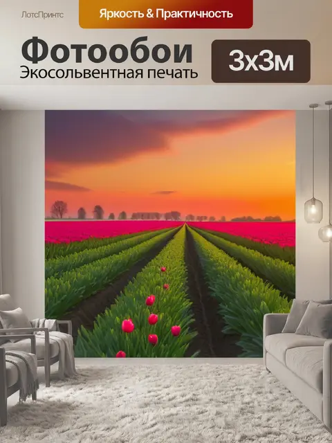 Фотообои поле тюльпанов на закате