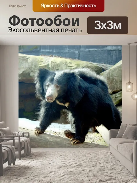 Фотообои Лень медведь блуждание