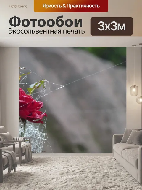 Фотообои Роза