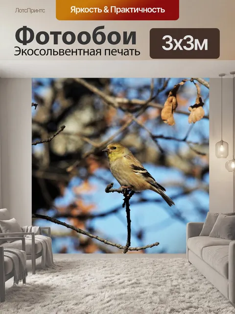 Фотообои Женский зимняк зимой