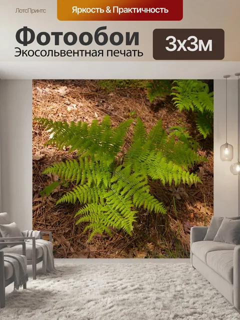 Фотообои Зеленый папоротник растет