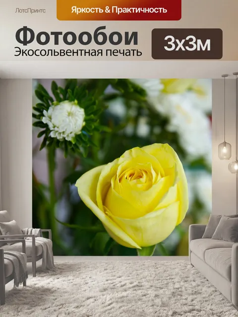 Фотообои Деталь Yellow Rose