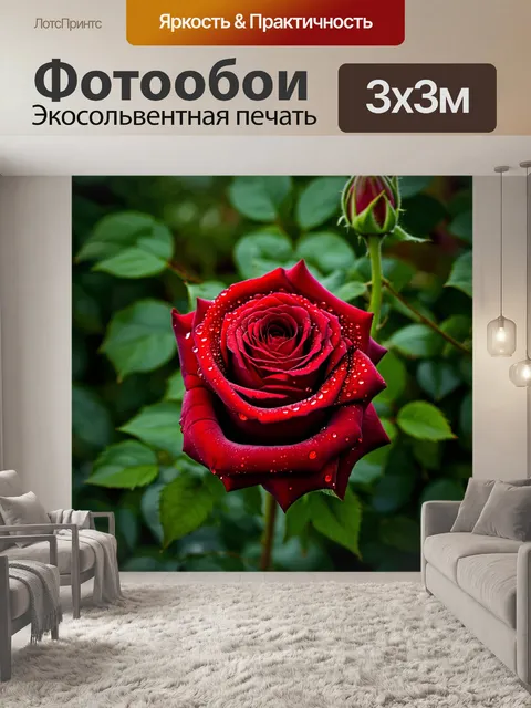 Фотообои розы, украшенные золотыми каплями