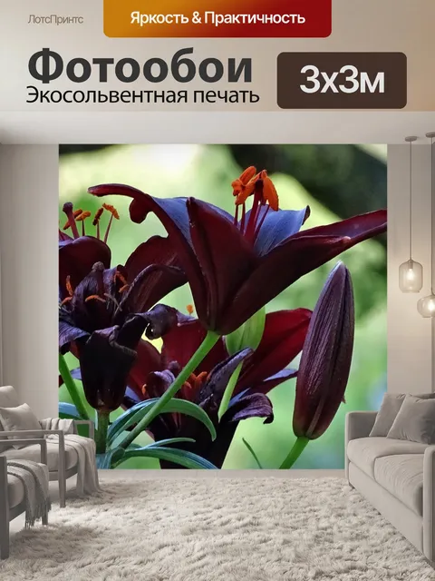 Фотообои Цветок
