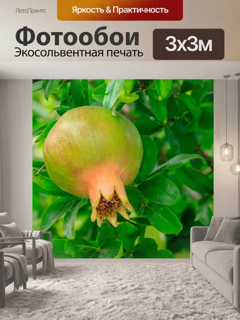 Фотообои Природа Крита