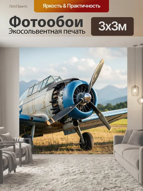Фотообои Винтажный самолет на поле