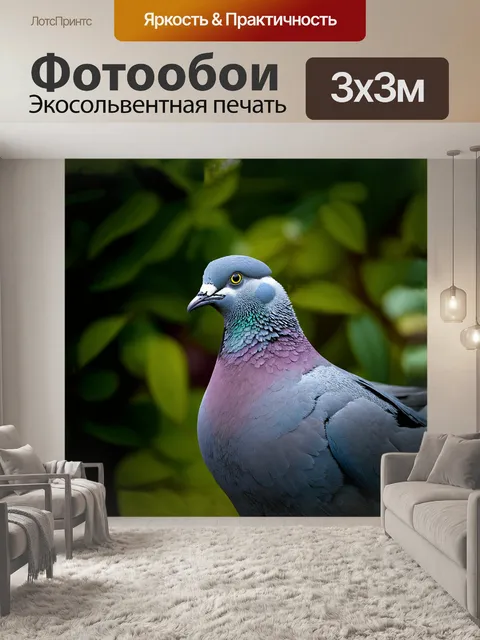 Фотообои голубь с величественной головой, сверкающим пером и строгим взглядом