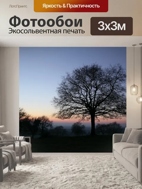 Фотообои Закат