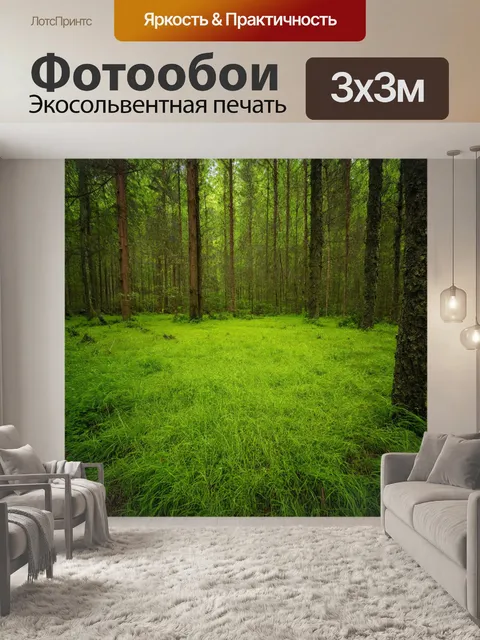 Фотообои лес с уединённой поляной, покрытой мягкой травой