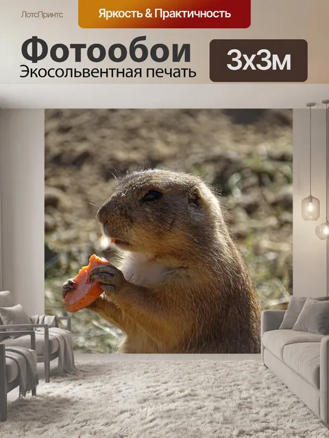 Фотообои Животные