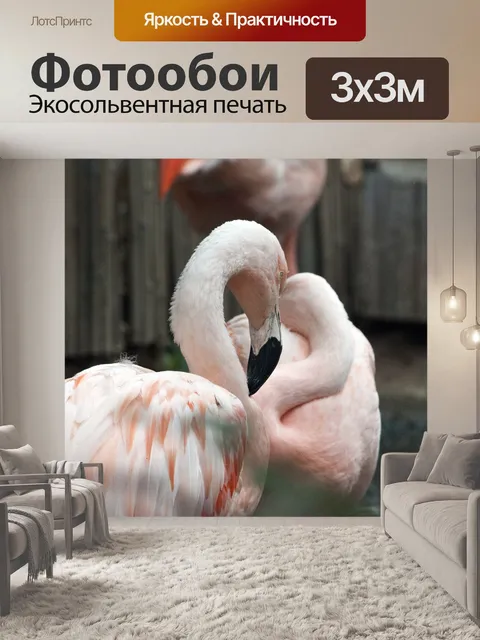 Фотообои Розовые фламинго