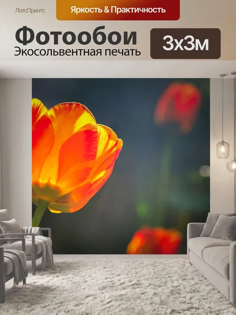 Фотообои Цветок