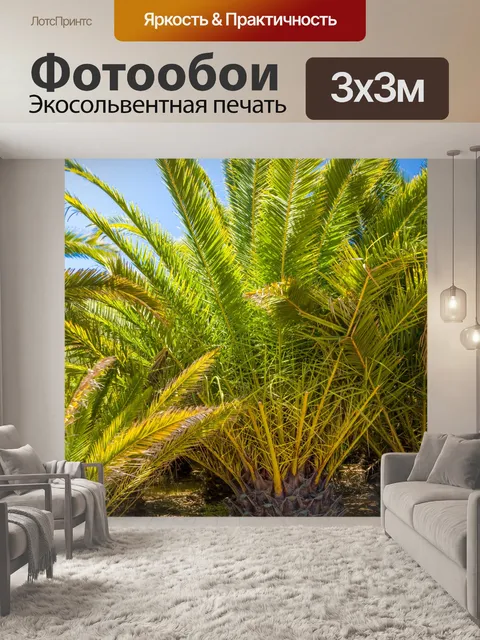 Фотообои Пальмы и голубое небо