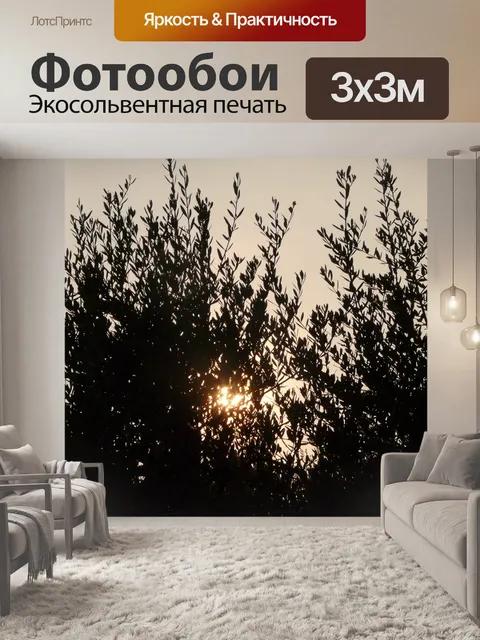 Фотообои Оливковое дерево