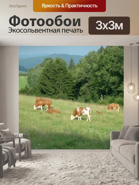 Фотообои Вечер