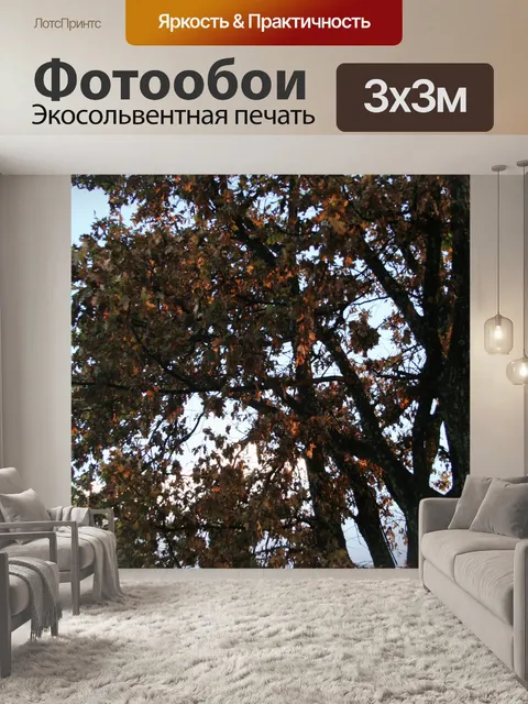 Фотообои дерево в последний свет