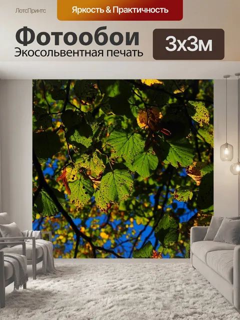 Фотообои Листья