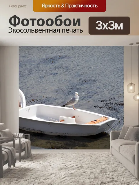Фотообои Чайка и лодка