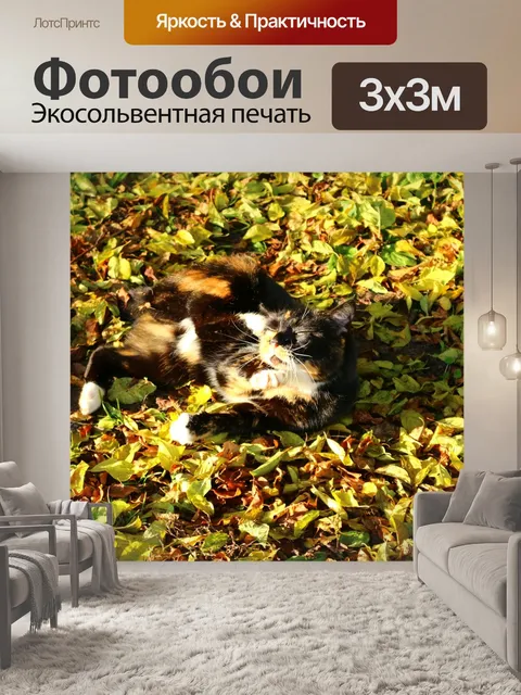 Фотообои Падение