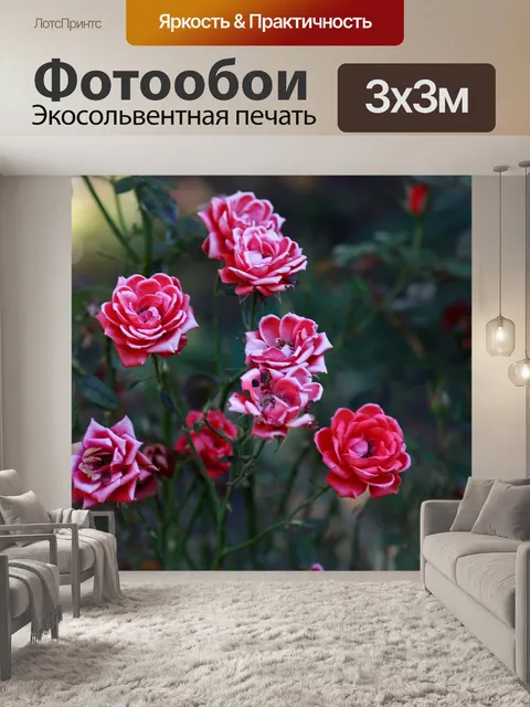 Фотообои Розы