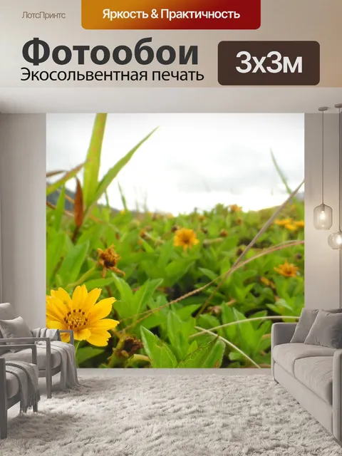 Фотообои Цветы