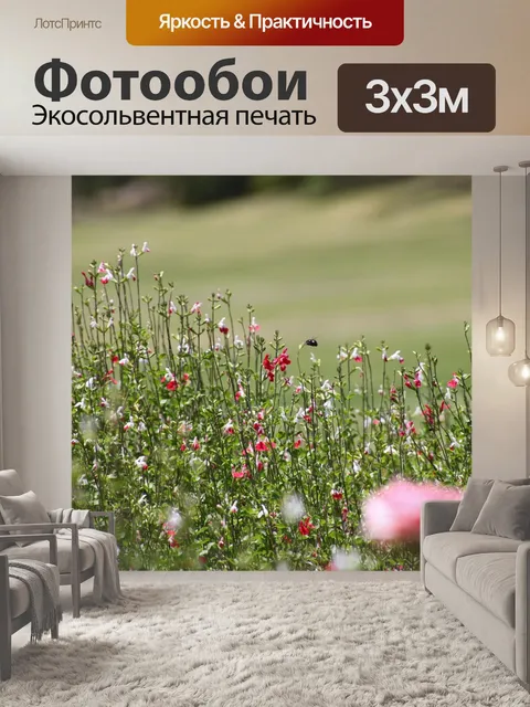 Фотообои Луг