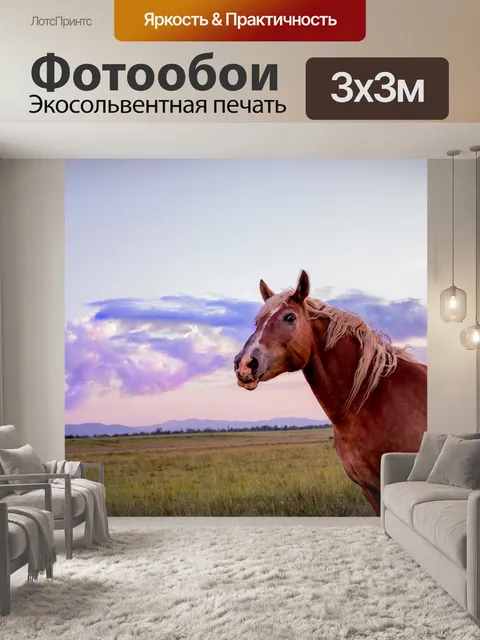 Фотообои Лошадь