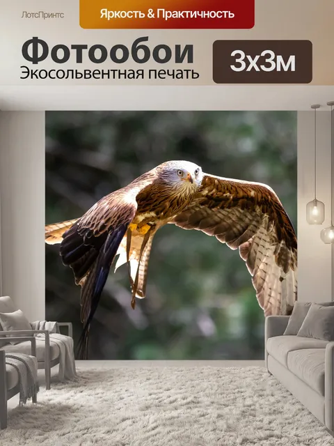 Фотообои Птица