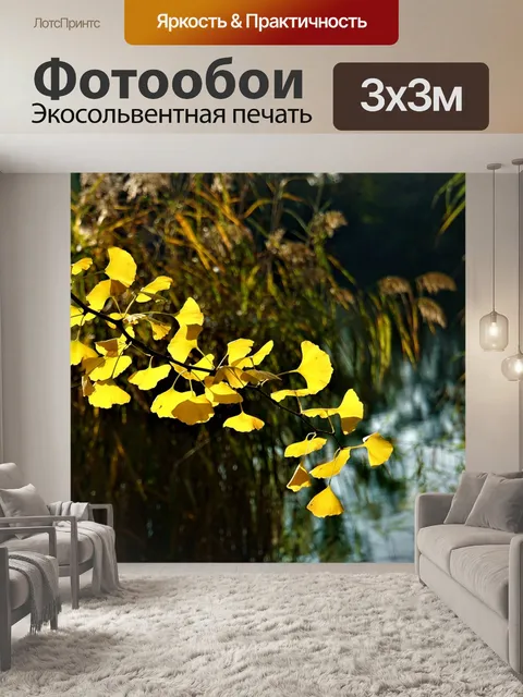 Фотообои Гинкго