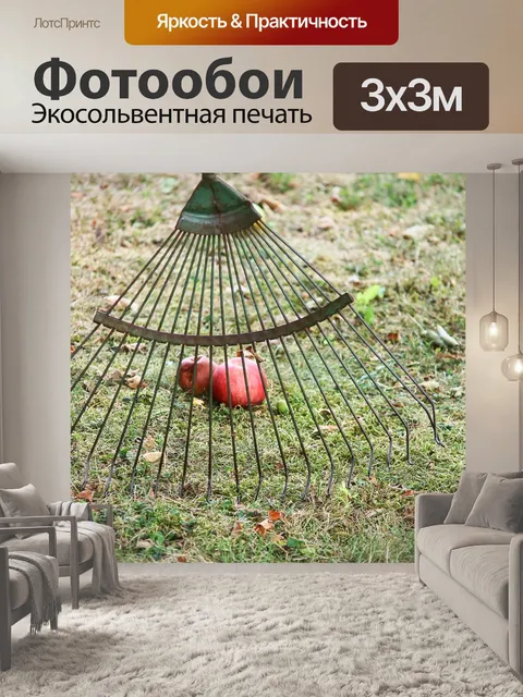 Фотообои Вычисления