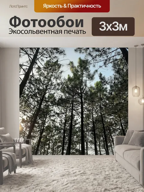 Фотообои Лес