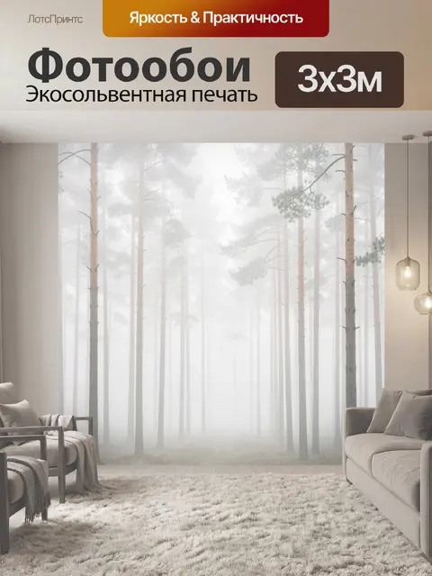 Фотообои Туманный сосновый лес