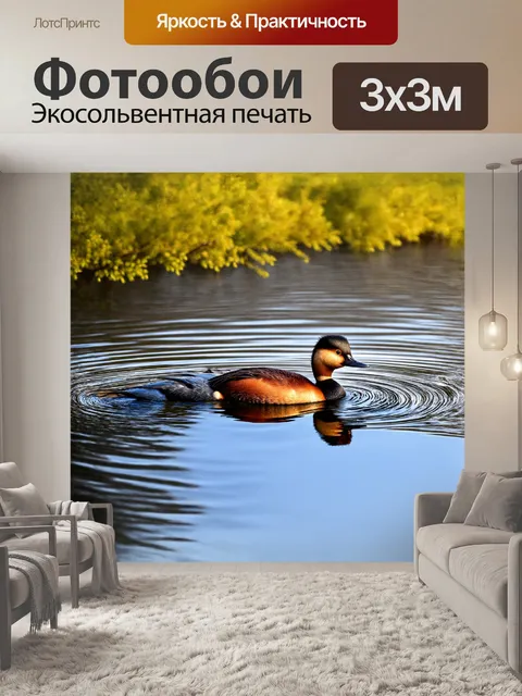 Фотообои красношейная поганка
