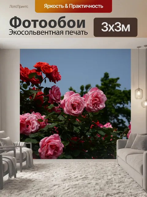 Фотообои Роза