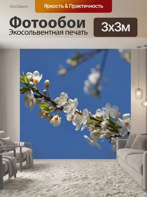 Фотообои Цветы