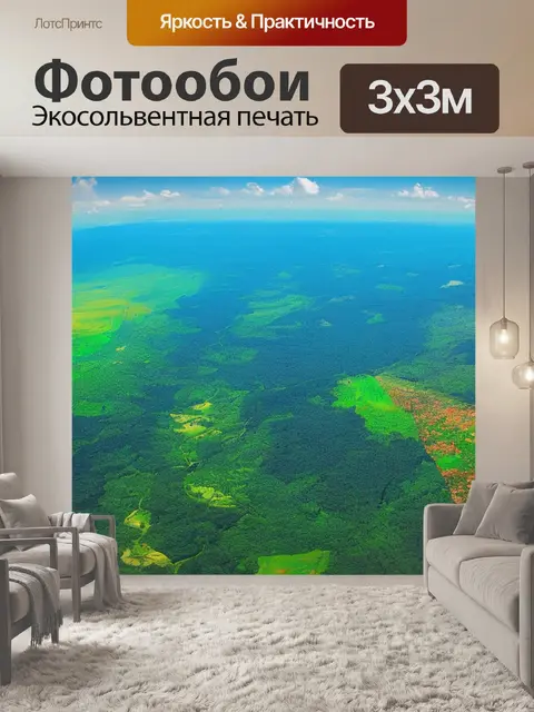 Фотообои пейзаж с самолета