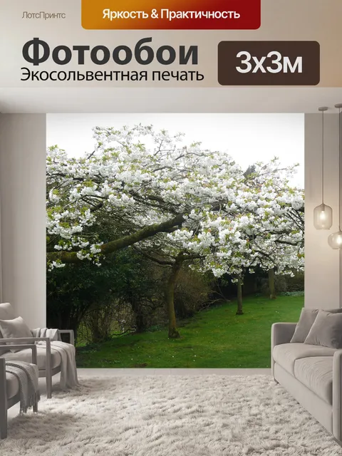 Фотообои Дерево Blossom
