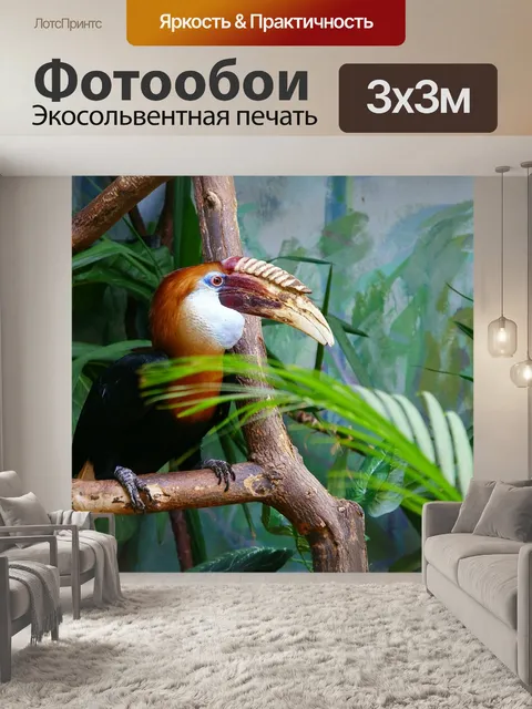 Фотообои Птица