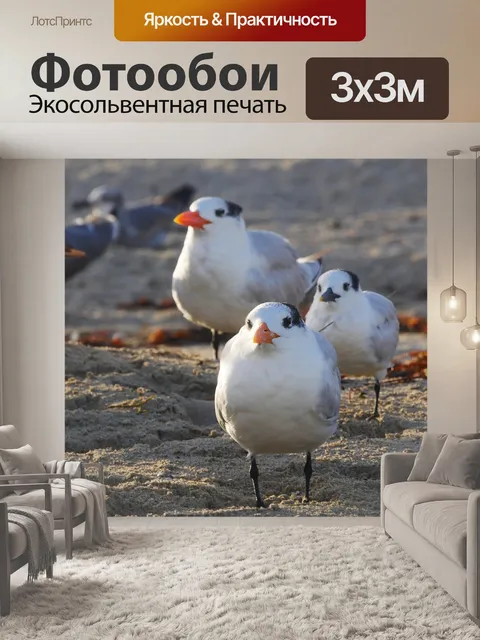 Фотообои Птицы